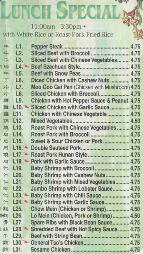 Page 5 of menu, Chinatown Kitchen Niagara Falls, NY